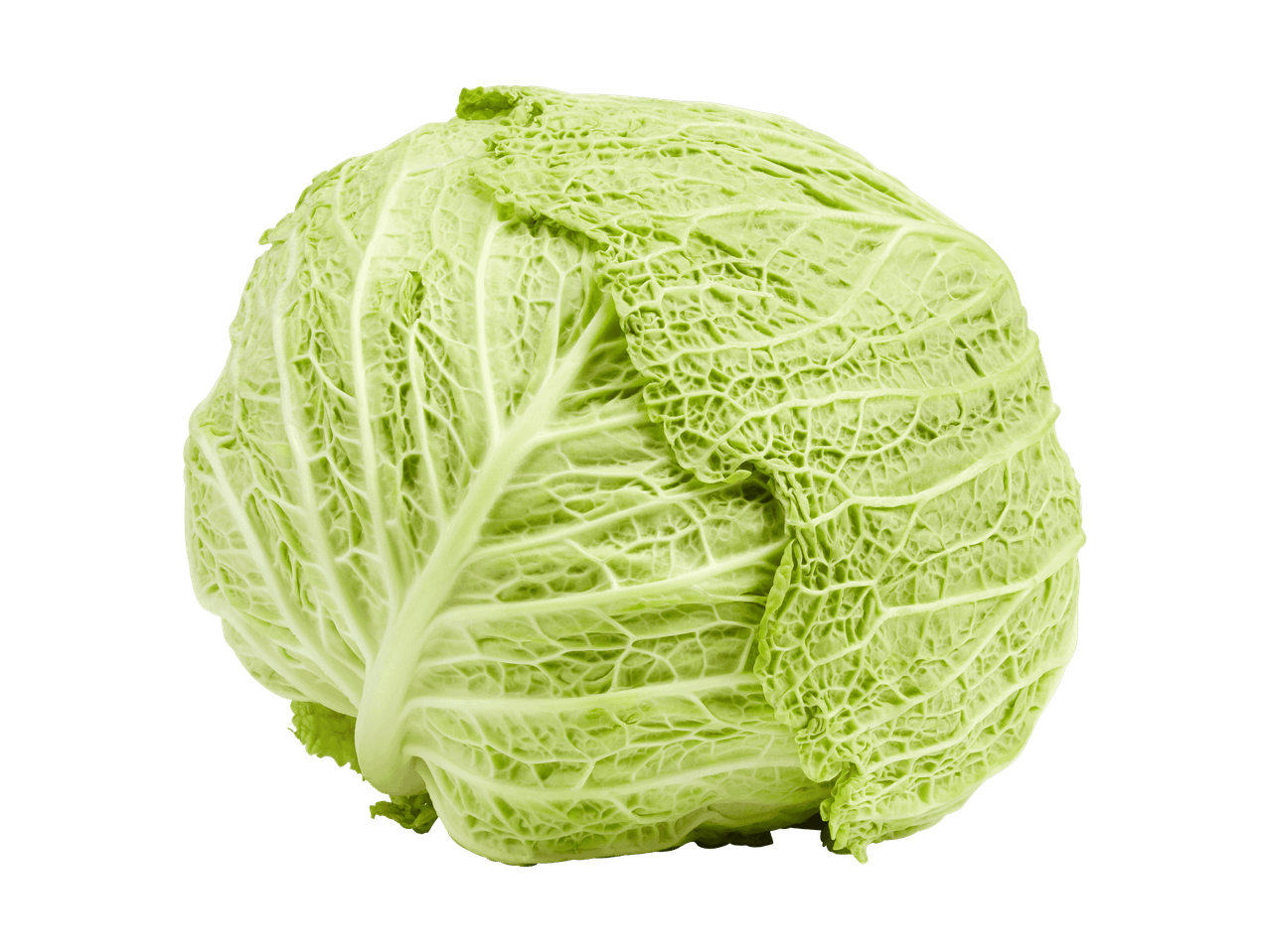 Ein ganzer, hellgrüner Wirsingkohl mit krausen Blättern auf schwarzem Hintergrund.