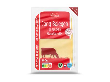 Goudse jong of jong belegen kaasplakken