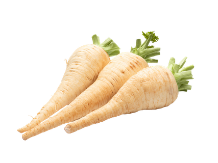 Petrezselyemgyökér