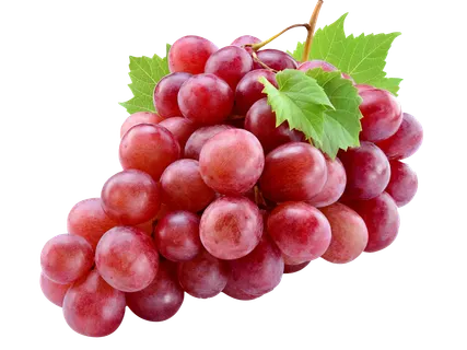 Mag nélküli piros szőlő