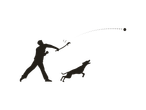 A man throws a ball to a dog.