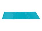 Foldable turquoise cooling mat for pets