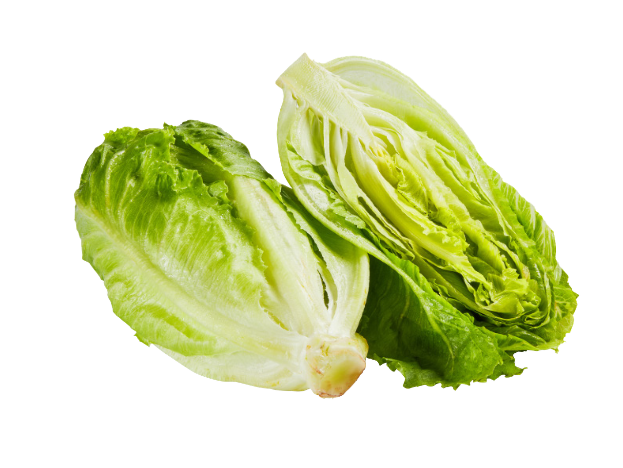 Kaks poolikut värsket rohelist rooma salatit mustal taustal