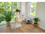 Zoofari cat litter tray and cat tree in a bright room with a cat and plants.