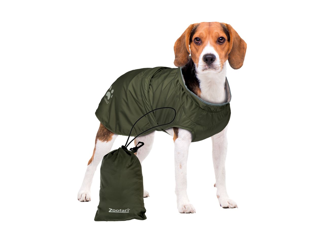 En Beagle hund iført en olivengrøn Zoofari hundejakke med matchende opbevaringstaske.