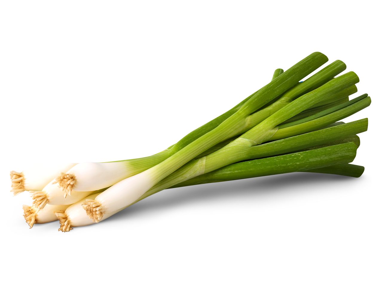 A bunch of fresh green onions with white bulbs and roots.
