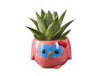 Pink owl-shaped planter with a succulent plant.