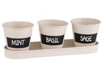 Set vasi per piante aromatiche 