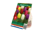 Packaging for 'Triumph Mix' tulip bulbs from Holland Selection.
