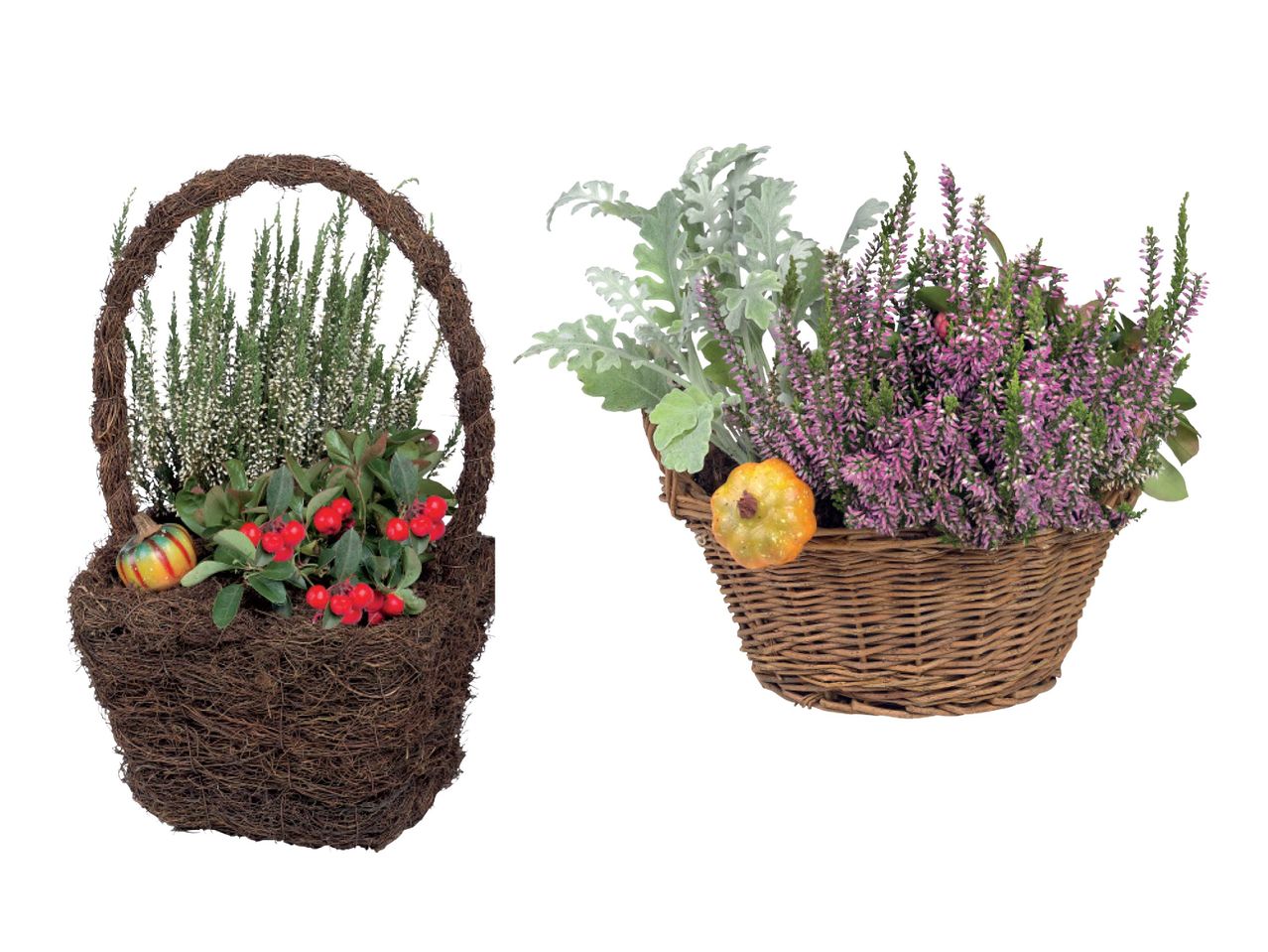 Go to full screen view: Autumn Basket - Image 1