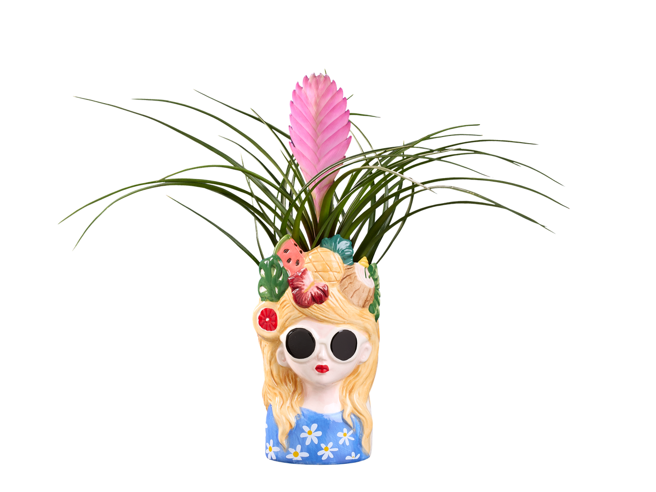 Roze bladplant in een pot in de vorm van een vrouwenhoofd met zonnebril en fruit.