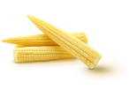 Three baby corn cobs are arranged on a white background.