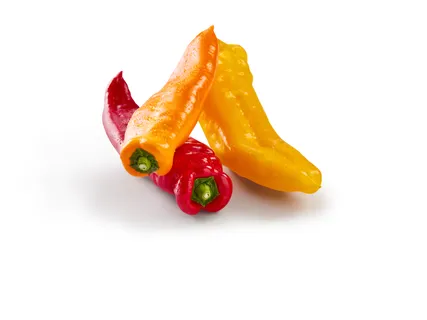 Deutscher Spitzpaprika-Mix