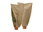 Two potted plants covered with beige protective winter covers