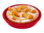 Round cake with powdered sugar, kumquats, and orange zest in a red silicone mold.
