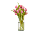 Tulipa rosa em um vaso de vidro.