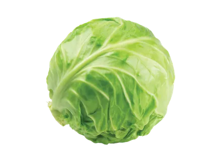 Lietuviški baltagūžiai kopūstai