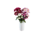 Ramo Nellike com crisântemos vermelhos, brancos e rosa num vaso branco.