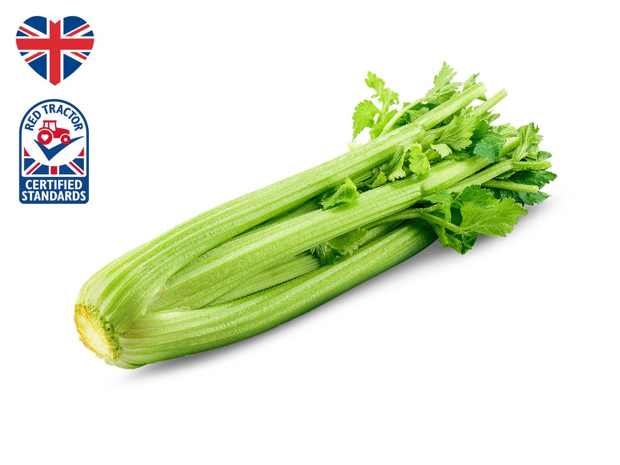 Fresh celery stalk from UK supplier.