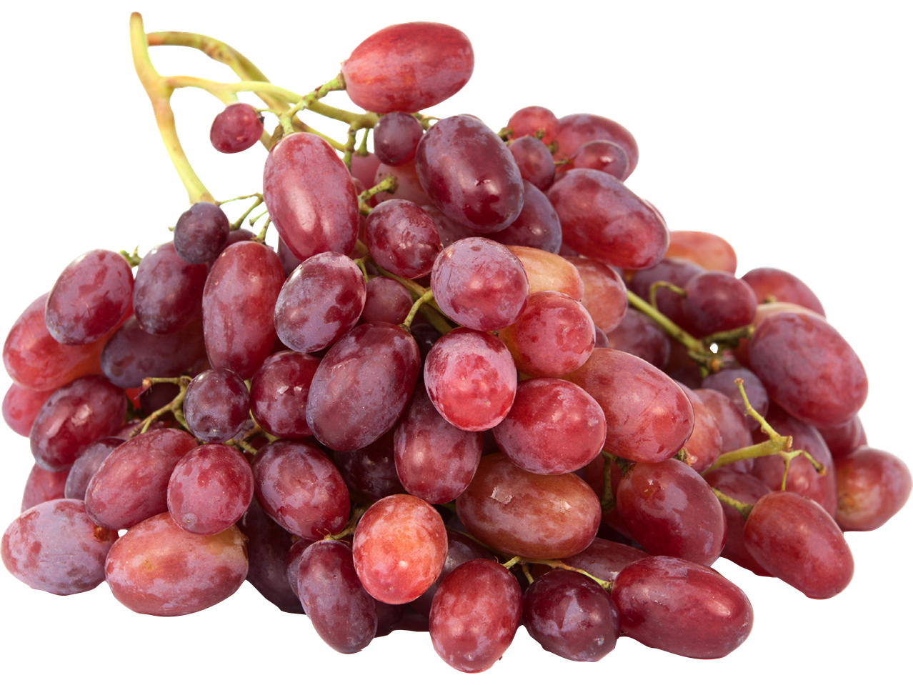 En stor klase röda vindruvor med stjälkar, isolerade på en svart bakgrund.