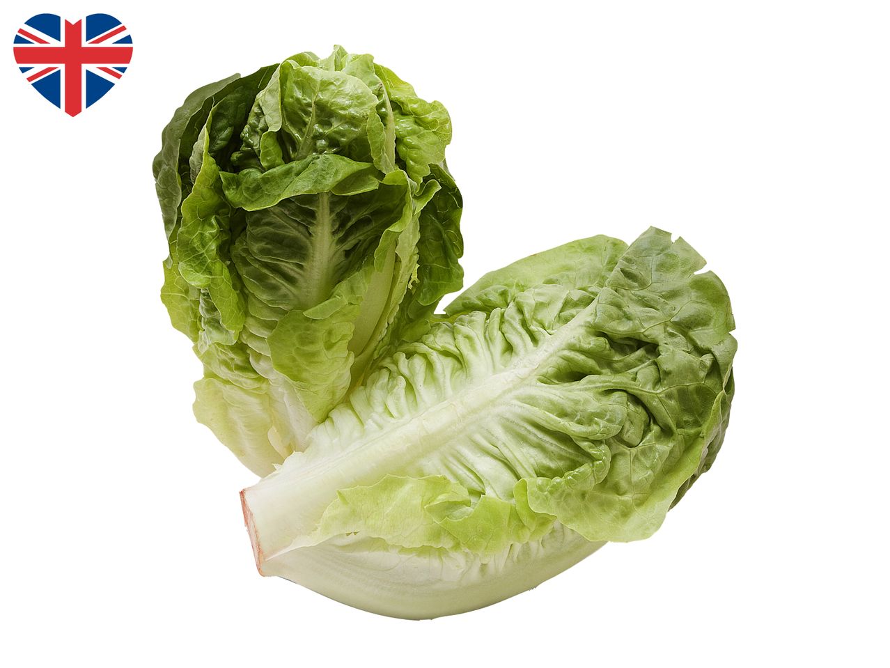 Two fresh romaine lettuce hearts with a heart-shaped Union Jack flag.