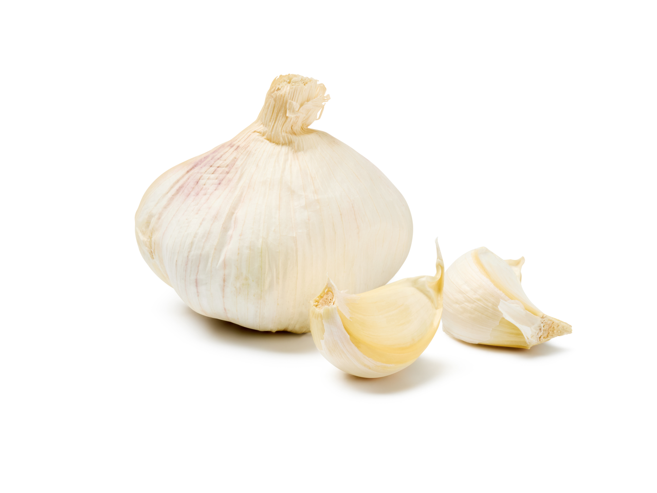 A head of garlic and two peeled garlic cloves on a white background.