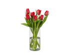 Tulipas vermelhas em um vaso de vidro.