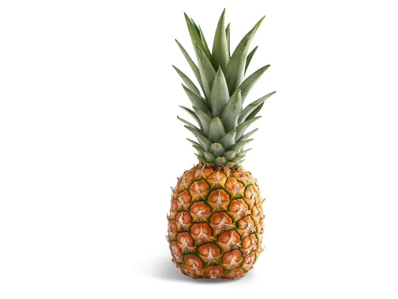 Ananas, luzem