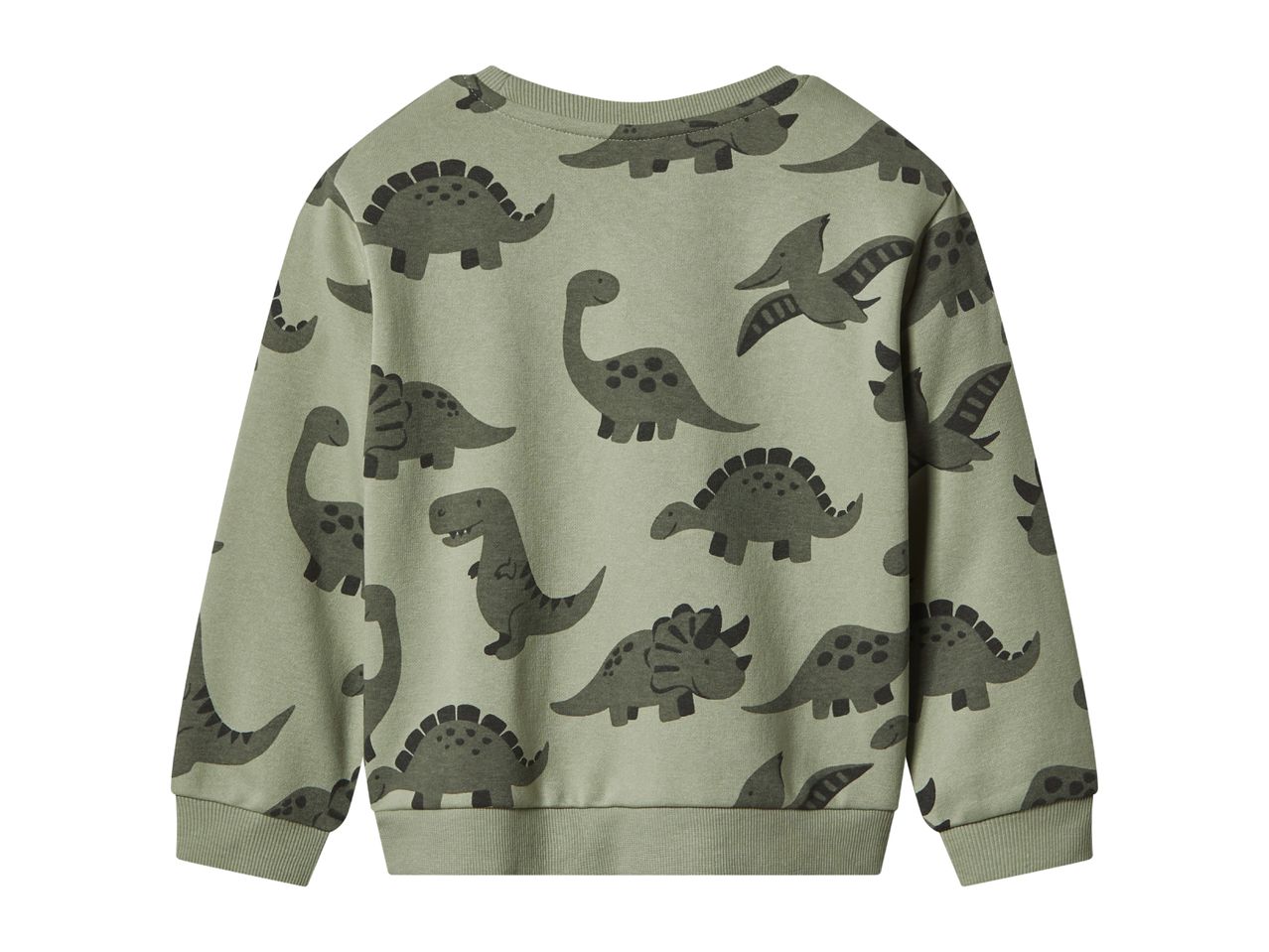 Kids' green sweatshirt with various dinosaur patterns.