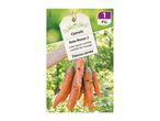 Carrot seeds Rote Riesen 2: late season variety, suitable for storage.