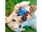 Um labrador branco brinca com uma bola Nerf Dog na grama.