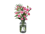 Buchet de garoafe roz într-o vază de sticlă.