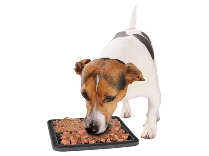 Etetőtál / -alátét / -szőnyeg