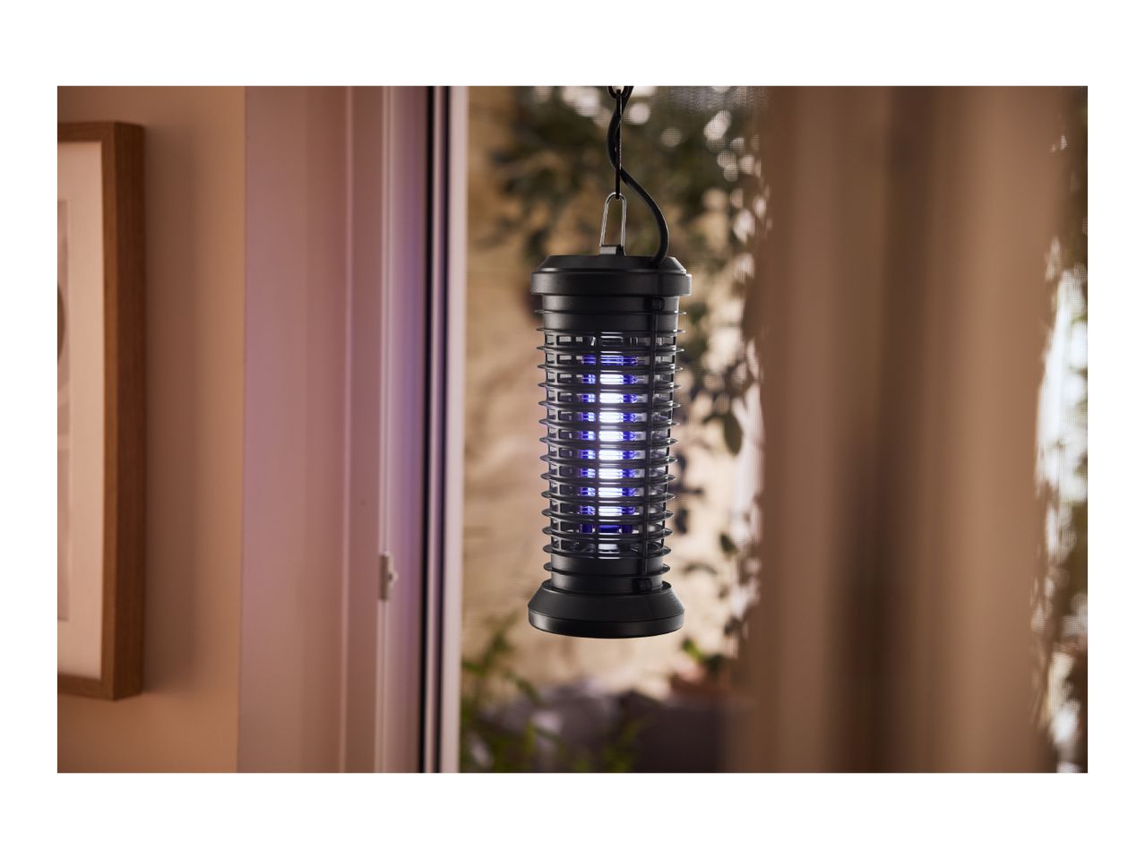 An electric insect killer with blue light hanging in front of a window.
