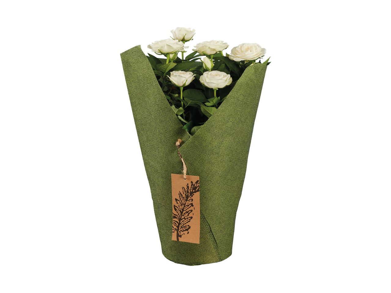 White roses in green burlap wrapping with a brown tag.
