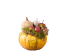 Herfstdecoratie in een pompoen met mos, kunstappels en een eikel.