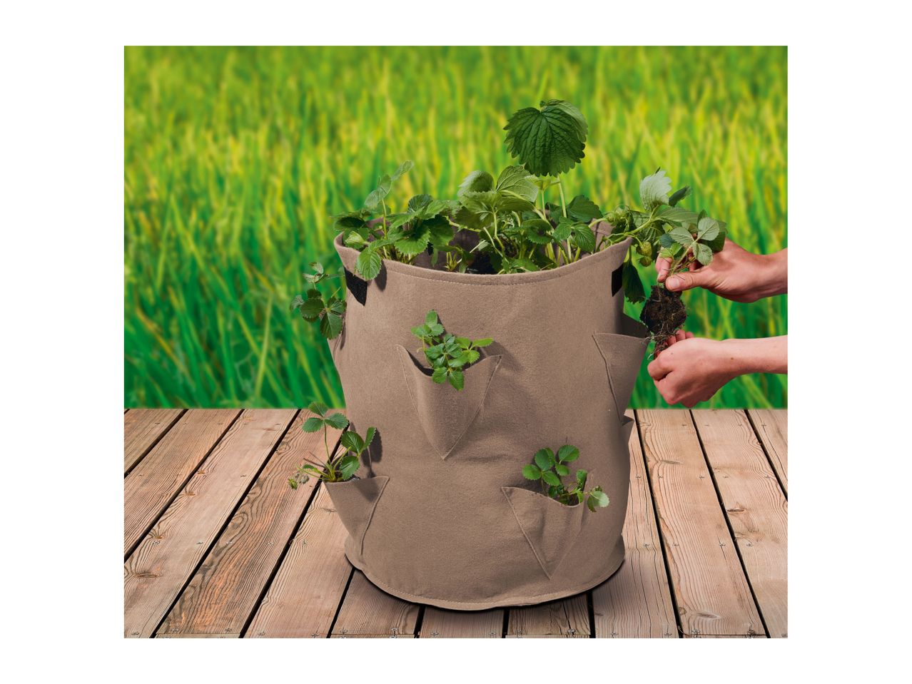 Go to full screen view: Parkside Strawberry Grow Bags - 2 Pack - Beige - Image 5