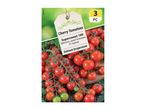 Supersweet 100 cherry tomato seeds: delicious and sweet, F1 hybrid.