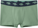 Green children's boxer shorts with a dark blue waistband featuring light green dinosaur patterns.