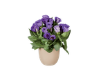 Vaso com flores roxas.