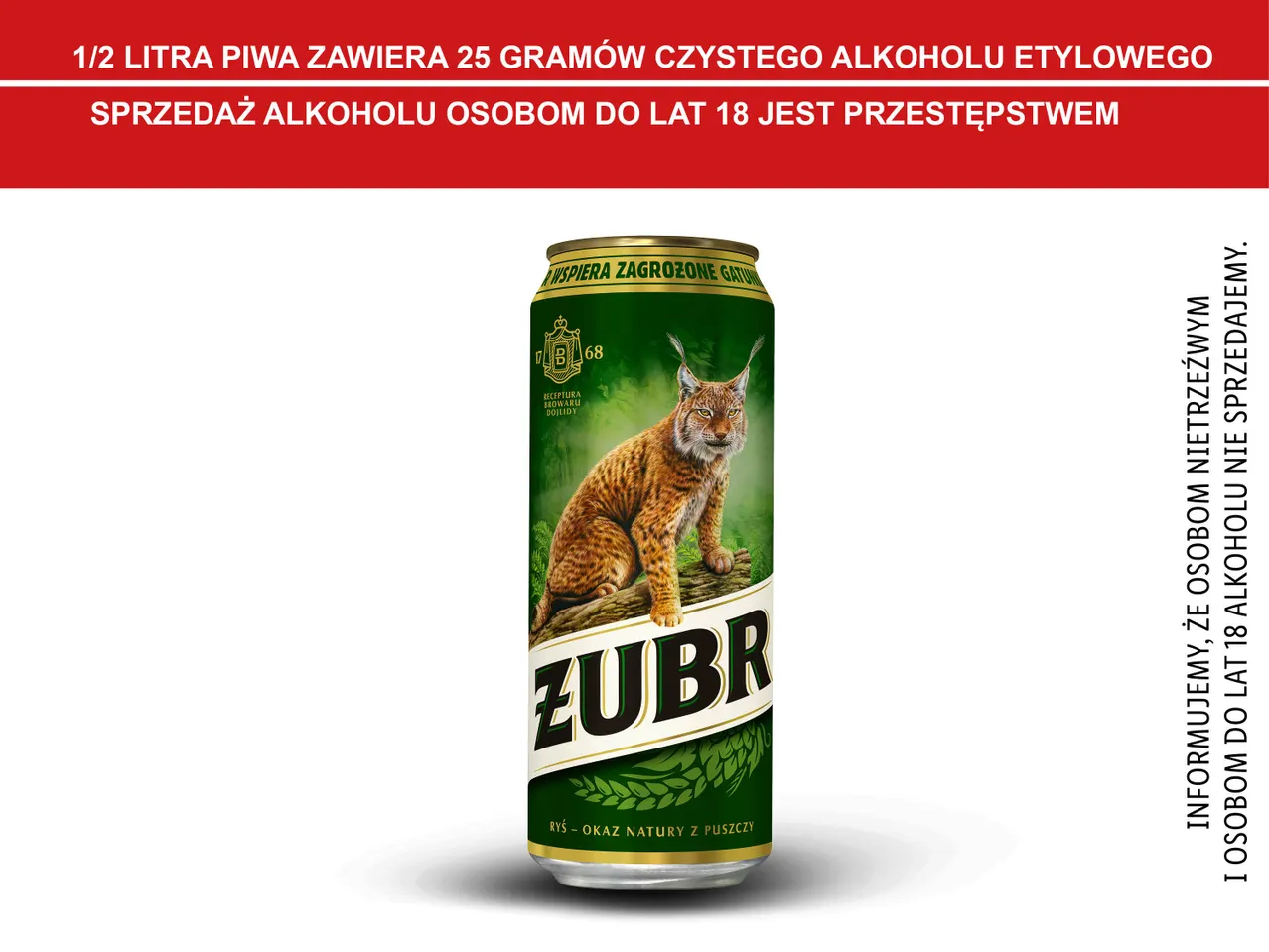 Żubr