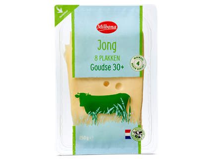 Goudse 30+ jonge kaasplakken