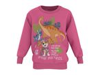 Pink sweatshirt with a dinosaur and a dog in a dinosaur costume, with text about dinos and pups.