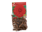 8 red Dahlia 'Garden Wonder' tubers.