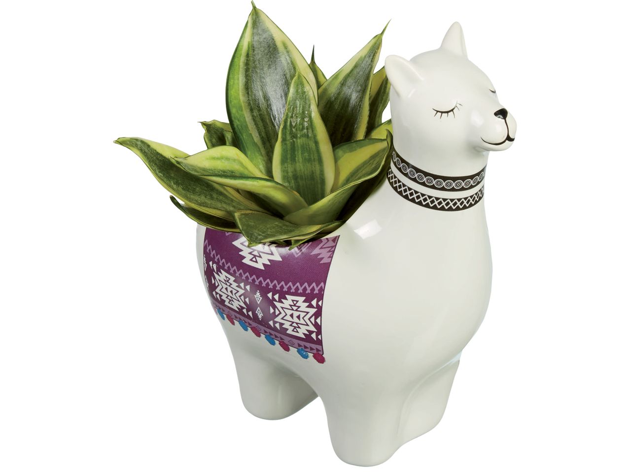 Керамична саксия във формата на лама с растение Sansevieria trifasciata 'Laurentii'.