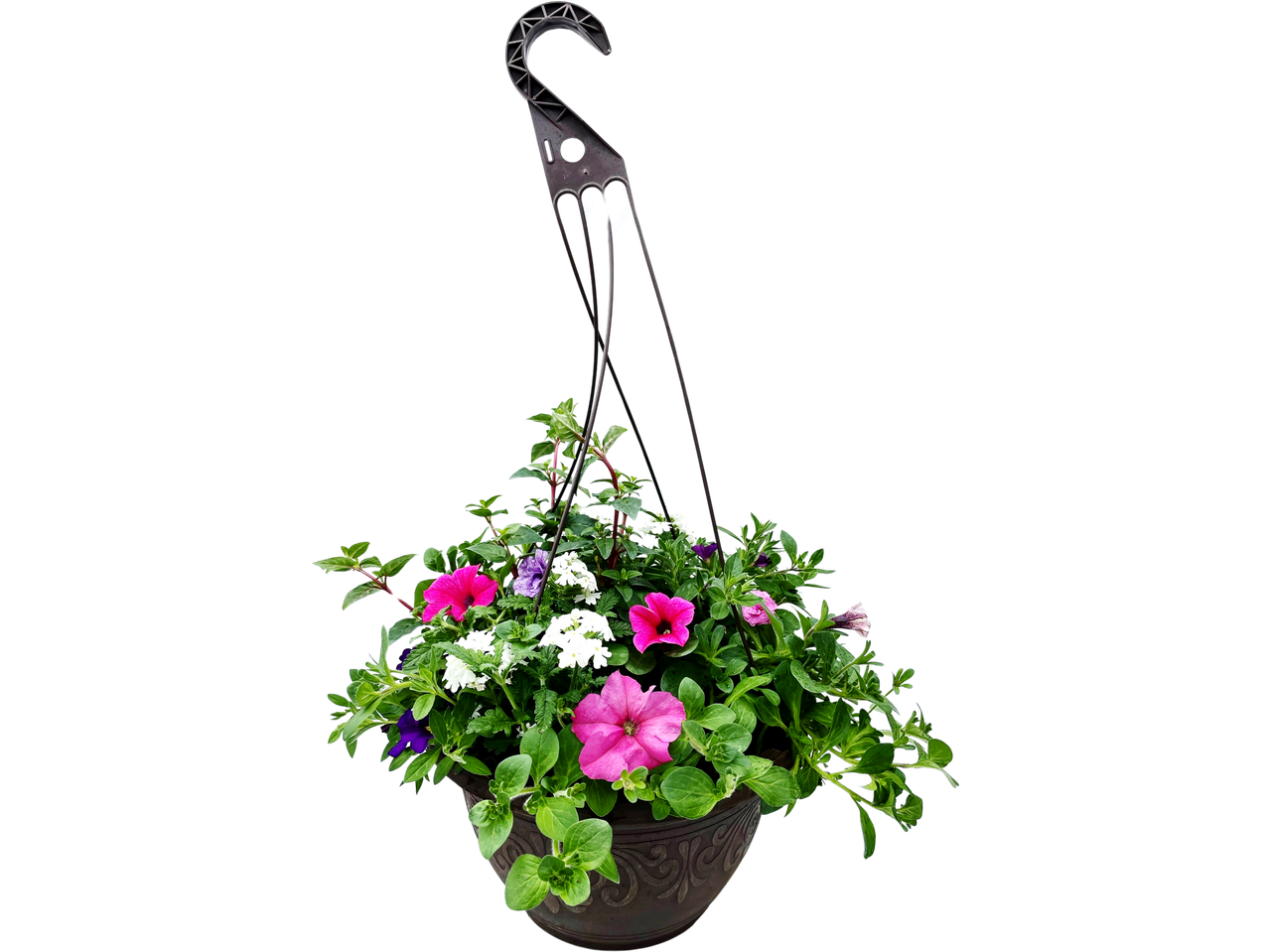 Hanging basket with pink, purple, and white petunias and green foliage.