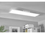 LED panel LIVARNO home osvetljuje sobo s polico in rastlino.