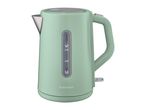Light green electric kettle with a water level indicator and a silver spout