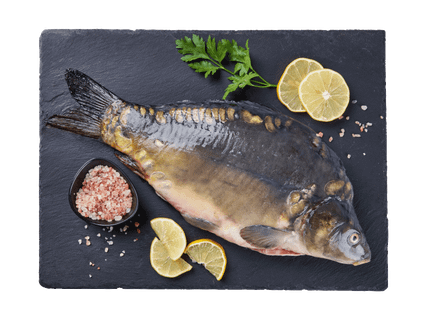 Salas Zivis Ķidāta karpa ar galvu 1.2kg