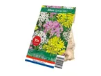 Pack of 35 Allium 'Species Mix' flower bulbs